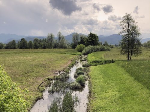 VESNA - SLOVENSKI PREDSODEK DO ZELENE